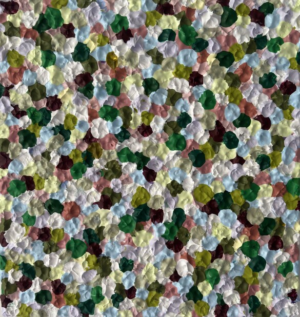 DL 2026 20x19 AcrylicOnComposite